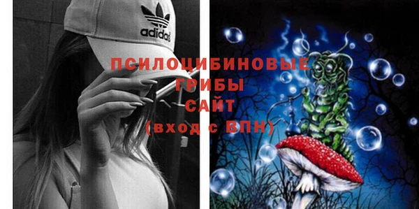 MESCALINE Белокуриха