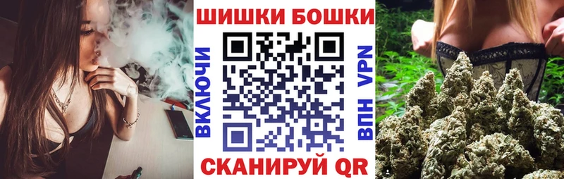 кракен ONION  наркота  Шатура  Каннабис индика 